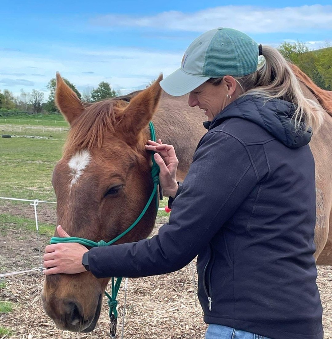 KP EQUINE, CANTERBURY