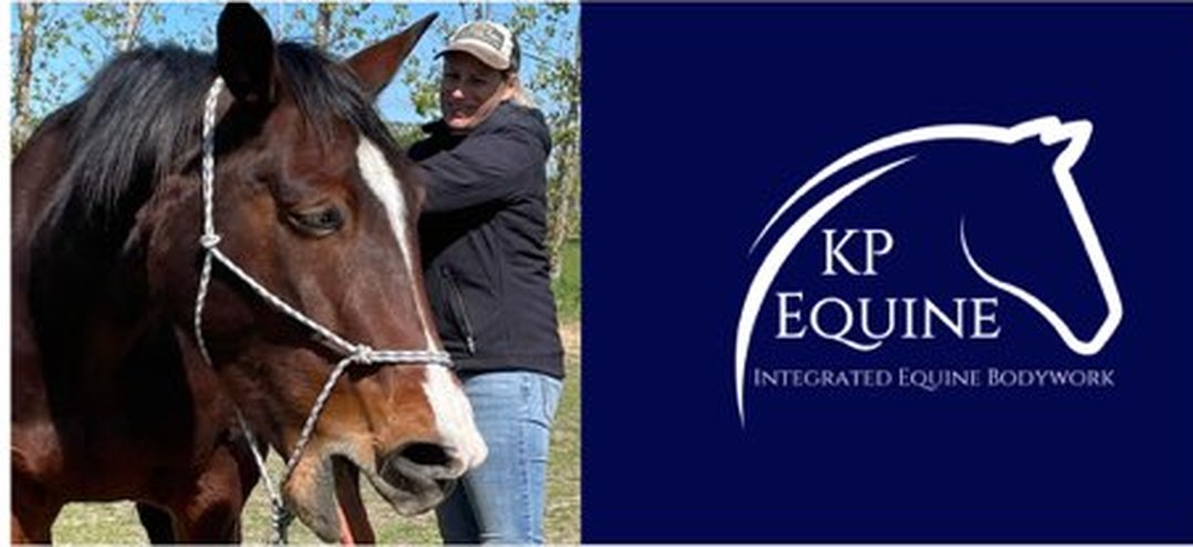 Krystle Parker — KP Equine, Canterbury