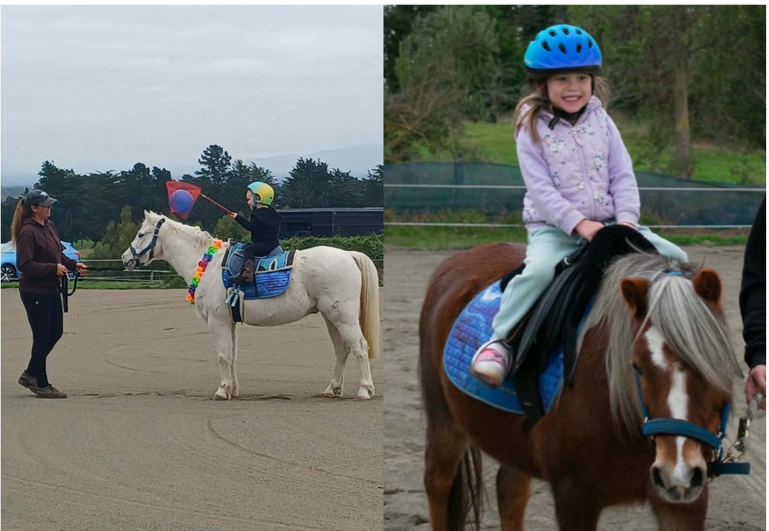 Pony Play Time at Oko's Place
